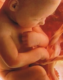 Foetus 39 semaines