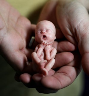 Foetus 13 semaines de grossesse : modèle en résine