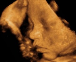 Bébé dans le ventre à 9 mois de grossesse